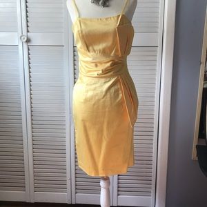 BCBG sexy dress